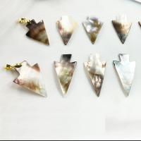 Shell Pendler, Freshwater Shell, med Messing, Triangle, Unisex, blandede farver, 50x25x0.2mmuff0c60x30x0.2mm, Solgt af PC