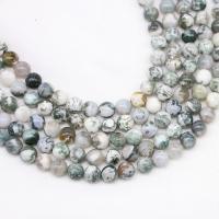 Tree Agate Beads Round polished DIY mixed colors Sold Per 15 Inch Strand