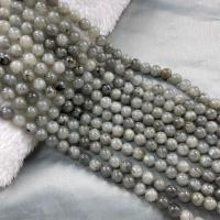 Χάντρες Λαμπραδορίτης, Γύρος, DIY, γκρί, Sold Per 38 cm Strand