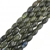 Labradorite Pärlor, Månsten, Trumma, polerad, DIY, grön, 10x16mm, Ca 24PC/Strand, Såld Per 38 cm Strand