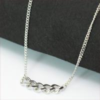 Titanium Steel Necklace Unisex silver color Length 45 cm Sold By PC