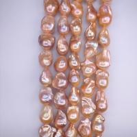 Barock odlad sötvattenspärla pärlor, Freshwater Pearl, Nuggets, naturlig, flerfärgad, 14-15mm, Ca 16PC/Strand, Säljs av Strand