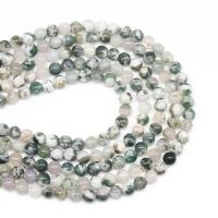 Tree Agate Beads Round DIY mixed colors Sold Per 38 cm Strand