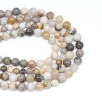 Bamboo Agate Bead, Runde, du kan DIY & forskellig størrelse for valg, blandede farver, Solgt Per 38 cm Strand