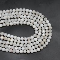 Agate naturale pazzo, agata pazzo, Cerchio, DIY & formato differente per scelta, bianco, Venduto per 38 cm filo