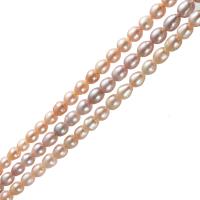Kartoffel ferskvandskulturperle Beads, Ferskvandsperle, naturlig, flere farver til valg, 9-10mm, Solgt af Strand
