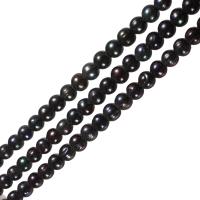 Kulaté kultivované sladkovodní perle, Sladkovodní Pearl, Kolo, černý, Grade, 11-12mm, Otvor:Cca 0.8mm, Prodáno za Cca 15.5 inch Strand