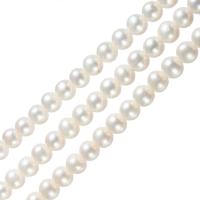 Turno coltivate in acqua dolce Perla, perla d'acquadolce coltivata naturalmente, Cerchio, naturale, bianco, Grade AA, 11-12mm, Foro:Appross. 0.8mm, Venduto per Appross. 15 pollice filo