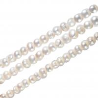 Kartoffel ferskvandskulturperle Beads, Ferskvandsperle, naturlig, hvid, 11-12mm, Hole:Ca. 0.8mm, Solgt Per Ca. 15.3 inch Strand