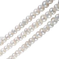 Kartoffel ferskvandskulturperle Beads, Ferskvandsperle, naturlig, hvid, 12-15mm, Hole:Ca. 0.8mm, Solgt Per Ca. 15.7 inch Strand