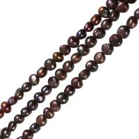 Barok Gekweekte Zoetwater Parel kralen, violet diep, 10-11mm, Gat:Ca 0.8mm, Per verkocht Ca 14.5 inch Strand