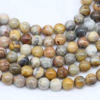 Agate naturale pazzo, agata pazzo, Cerchio, lucido, DIY & formato differente per scelta, Venduto per 14.96 pollice filo