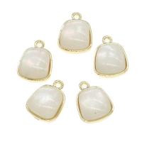 Sinkkiseos riipukset, kanssa Pearl Shell, tee-se-itse, kultainen, 19x14x6mm, Myymät PC