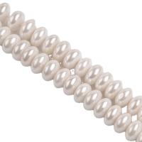 Shell Pearl Бусины, DIY, белый, Продан через 38 см Strand