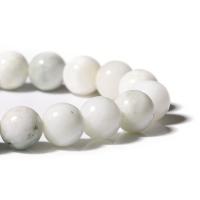 Perles en jade, Vert-Jade, Rond, poli, DIY, blanc, Vendu par 38 cm brin