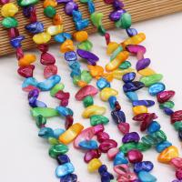 Perles naturelles de coquillage d'eau douce , coquille d'eau douce, chips, DIY, multicolore, 8x15-10x20mm, Vendu par 80 cm brin