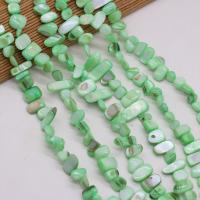 Natuurlijke zoetwaterschelp kralen, Freshwater Shell, Chips, DIY, groen, 8x15-10x20mm, Per verkocht 80 cm Strand