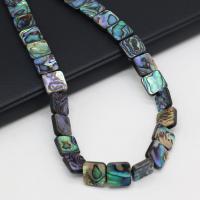 Abalone Shell Beads Square DIY mixed colors Sold By PC