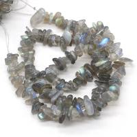 Chips Gemstone, labradorite, Schegge, DIY, colori misti, 3x5-4x6mm, Venduto per 40 cm filo