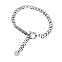 Titanium teräksen rannerenkaan, Titanium Steel, kiiltävä, Unisex & erikokoisia valinnalle & Curb Chain, hopea, Pituus N. 19 cm, Myymät PC