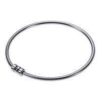 Bracelet en acier inoxydable, Acier inoxydable 304, Placage, unisexe, argent, 63x3mm, Vendu par PC