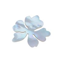 Cabochon en coquillage, coquille blanche, fleur, naturel, DIY, blanc, 36.40x31.30mm, Vendu par PC