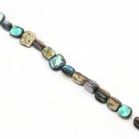 Χάντρες Shell Abalone, Abalone Shell, DIY, μικτά χρώματα, 10mm, 38PCs/Strand, Sold Με Strand