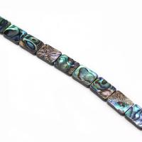 Abalone Shell Beads Rectangle DIY mixed colors Sold By PC