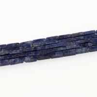 Sodaliet Kraal, Rechthoek, gepolijst, DIY, blauw, 4x13mm, Per verkocht 39 cm Strand