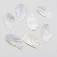 Shell Pendler, Freshwater Shell, Leaf, Carved, du kan DIY, hvid, 28x57mm, Solgt af PC