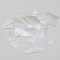 Shell Pendants Freshwater Shell Leaf Carved DIY white Sold By PC