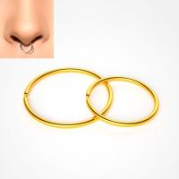 Titan Stål Nose Piercing Smycken, Donut, plated, Unisex & olika storlek för val, fler färger för val, Säljs av PC