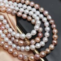 Barokna Kulturan Slatkovodni Pearl perle, Krug, možete DIY, više boja za izbor, 10mm, 38računala/Strand, Prodano Per 39 cm Strand