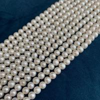 Okrugli Kulturan Slatkovodni Pearl perle, možete DIY, bijel, 5-6mm, Prodano Per 38 cm Strand