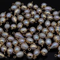 Freshwater Pearl Connector with Brass Oval gold color plated Natural & fashion jewelry & DIY 8x16- Sold By PC