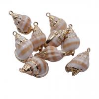 Naturlig Trumpet Shell Halsband, Trumpeten Shell, med Mässing, plated, blandade färger, 10mm, 10PC/Bag, Säljs av Bag