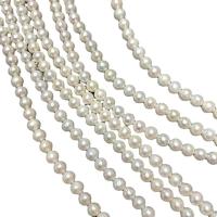 Kulaté kultivované sladkovodní perle, Sladkovodní Pearl, Kolo, DIY, bílý, 6-6.5mm, Prodáno za 38 cm Strand