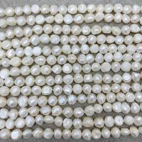 Barok ferskvandskulturperle Beads, Ferskvandsperle, du kan DIY, hvid, 11-12mm, Solgt Per 38 cm Strand