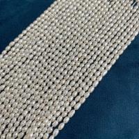 Rice Kulturan Slatkovodni Pearl perle, Riža, možete DIY, bijel, 2.5-3mm, Prodano Per 38 cm Strand