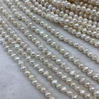 Button Kulturan Slatkovodni Pearl perle, možete DIY, bijel, 5mm, Prodano Per 38 cm Strand