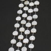 Natural White Shell Kralen, Schelp, DIY, wit, 11x12x2mm, 20pC's/Strand, Per verkocht 38 cm Strand