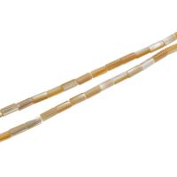 Top Shell Bead, Kolonne, du kan DIY, blandede farver, 10x5x5mm, 40pc'er/Strand, Solgt Per 38 cm Strand