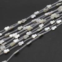 Natural White Helmiäinen, Valkoinen kuori, tee-se-itse, valkoinen, 10x7x2mm, 15PC/Strand, Myyty Per 38 cm Strand