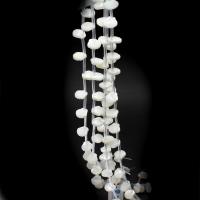 Natural White Shell Beads DIY white Sold Per 38 cm Strand