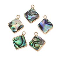 Natuurlijke Abalone Shell Hangers, Messing, met Abalone Schelp, Rhombus, 18K geïmiteerd verguld, gemengde kleuren, 14x14x4mm, Verkocht door PC