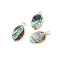 Natuurlijke Abalone Shell Hangers, Messing, met Abalone Schelp, Ovaal, 18K geïmiteerd verguld, gemengde kleuren, 18x10x3mm, Verkocht door PC