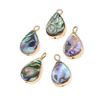 Φυσικό Abalone Shell Μενταγιόν, Ορείχαλκος, με Abalone Shell, Teardrop, 18K μιμημένος χρυσός που καλύπτεται, μικτά χρώματα, 18x10x3mm, Sold Με PC