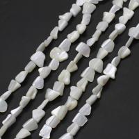 Přírodní korálky White Shell, Nepravidelné, DIY, bílý, 10x10x5mm, Prodáno za 38 cm Strand