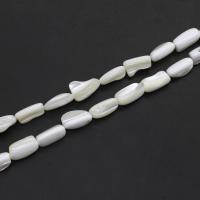 Přírodní korálky White Shell, DIY, bílý, 16x12x7mm, Prodáno za 38 cm Strand