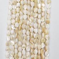 Naturlige gule Shell Perler, Gul Shell, Oval, poleret, du kan DIY, blandede farver, 6x8mm, Solgt Per 38 cm Strand